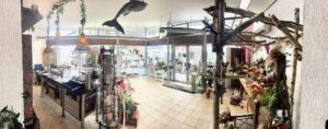 Verkaufsraum Blumengeschäft