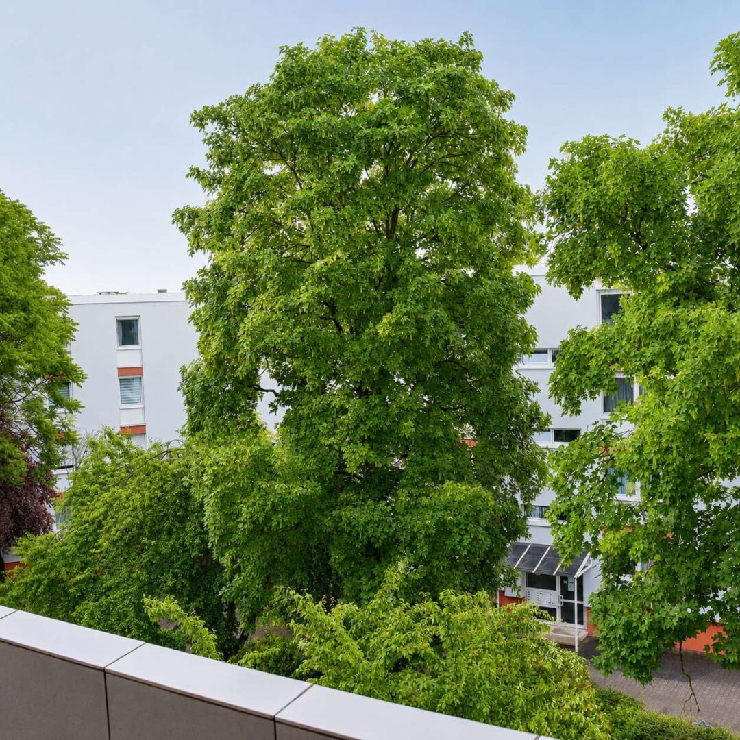 Aussicht Balkon