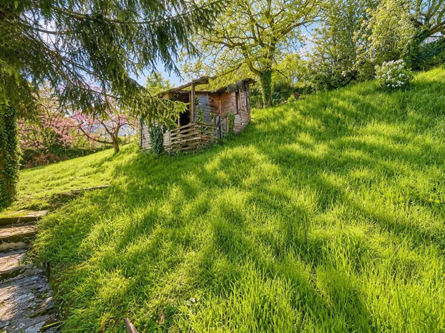 Garten3