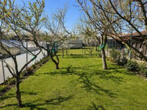 Garten - Bäume